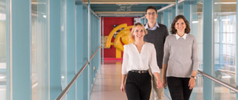 Trois jeunes collaborateurs Trois jeunes collaborateurs